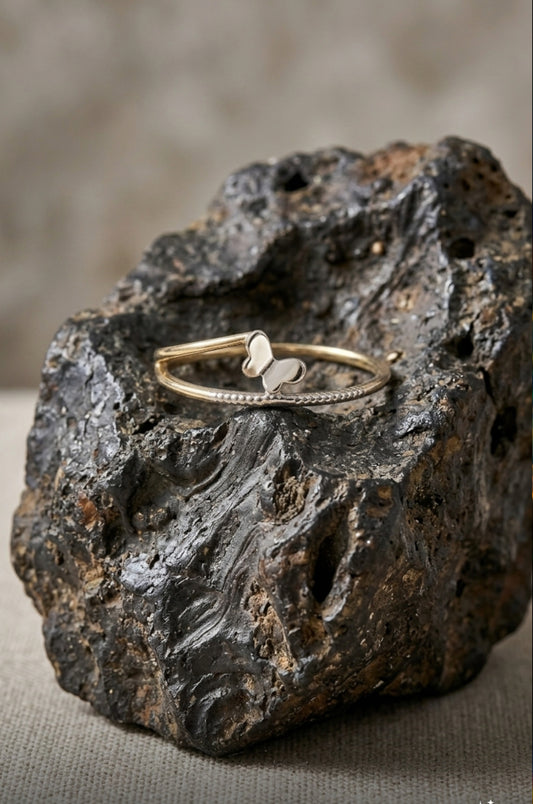 Anillo de Mariposa en Oro Blanco y Oro Amarillo 14k
