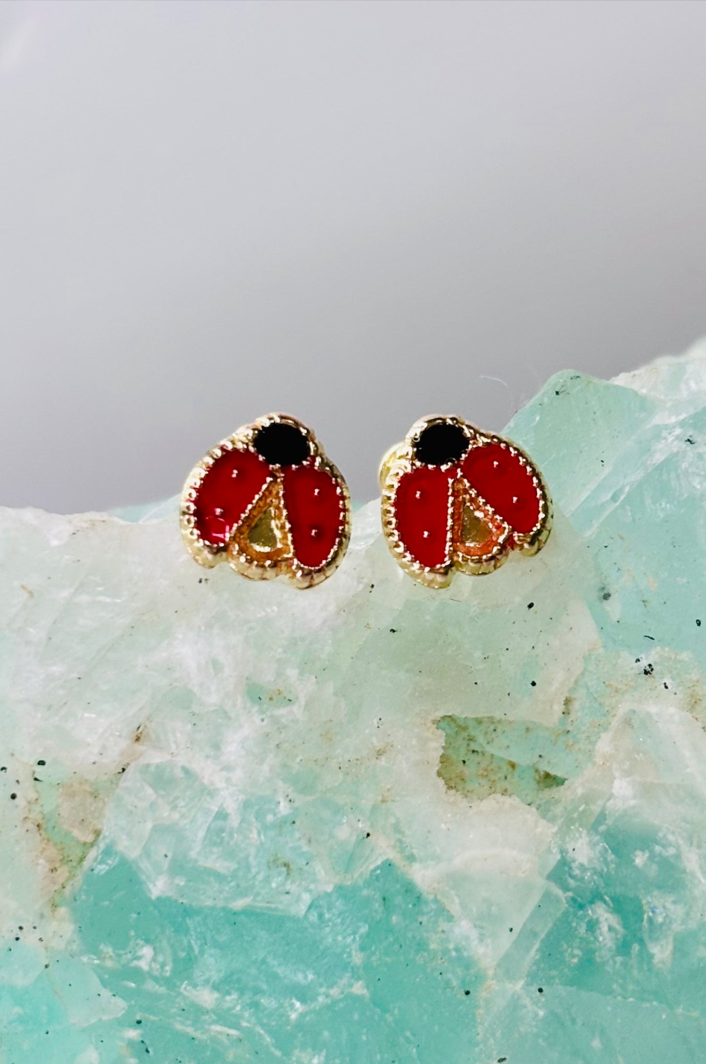 Aretes catarinas en oro amarillo de 14K