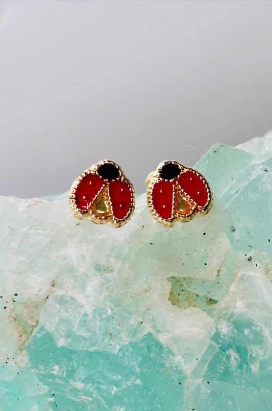 Aretes catarinas en oro amarillo de 14K